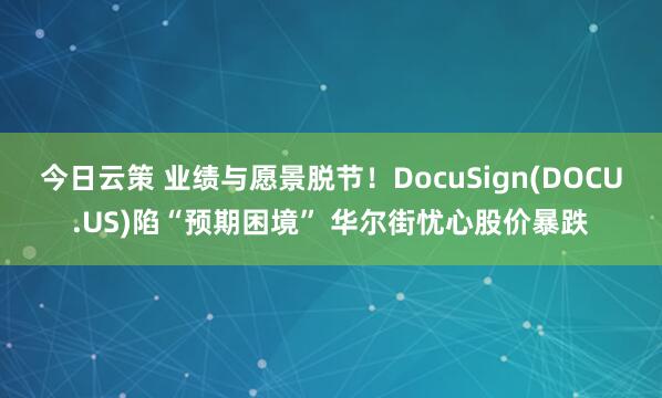 今日云策 业绩与愿景脱节！DocuSign(DOCU.US)陷“预期困境” 华尔街忧心股价暴跌