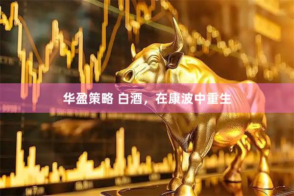 华盈策略 白酒，在康波中重生
